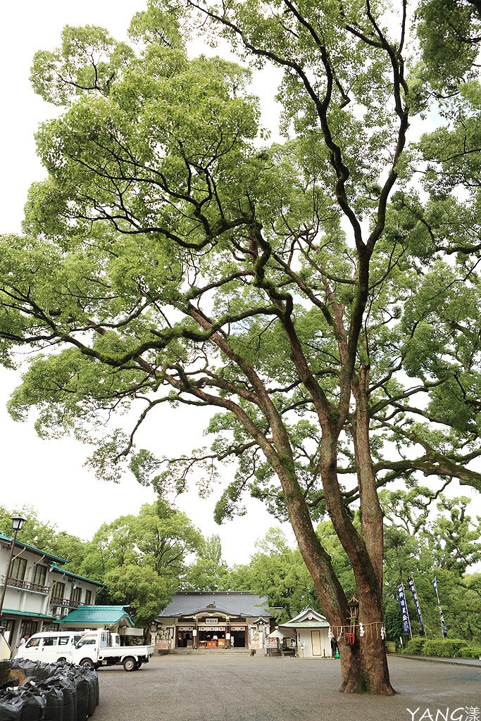 熊本城