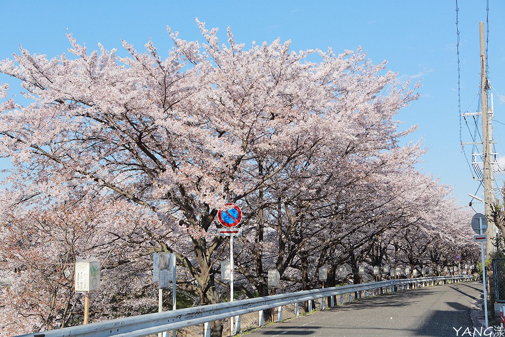奈良佐保川