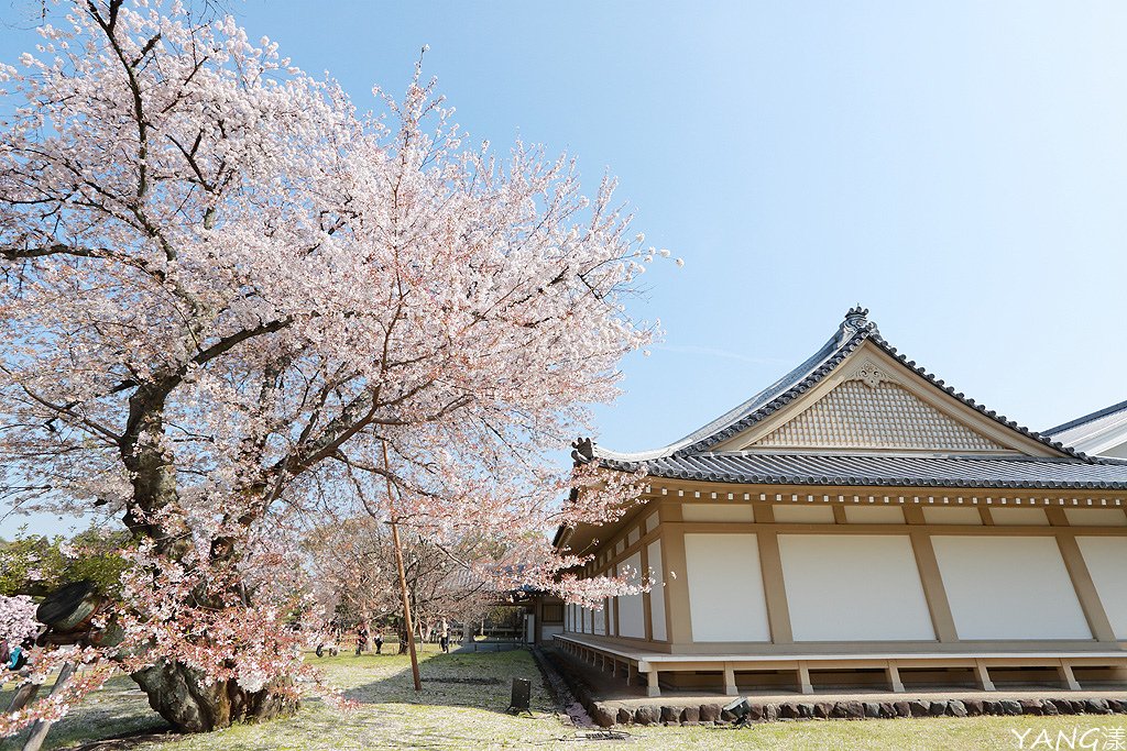 京都醍醐寺