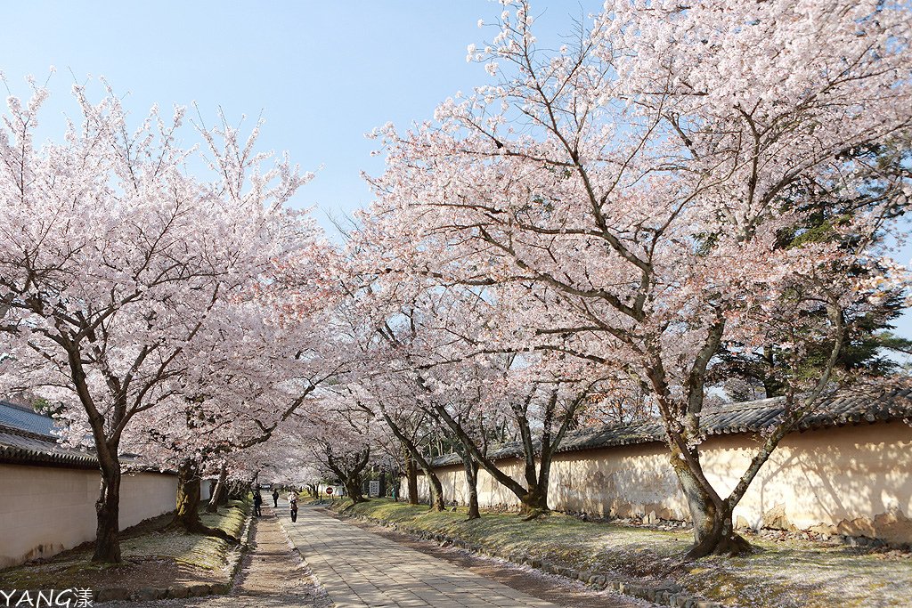 京都醍醐寺