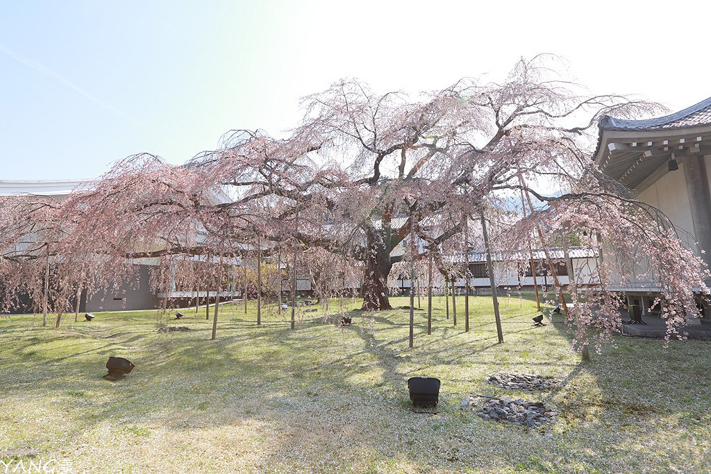 京都醍醐寺