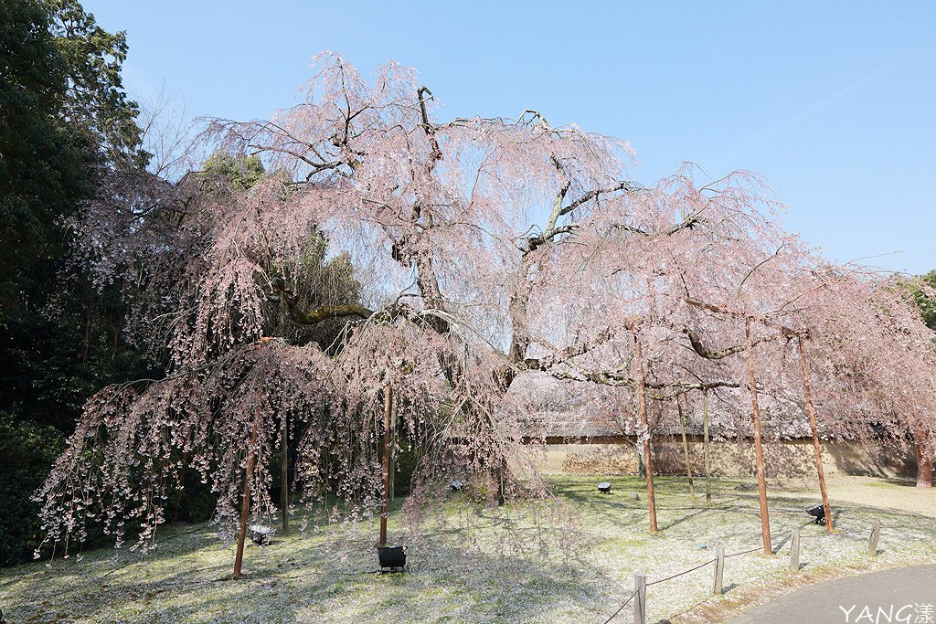 京都醍醐寺