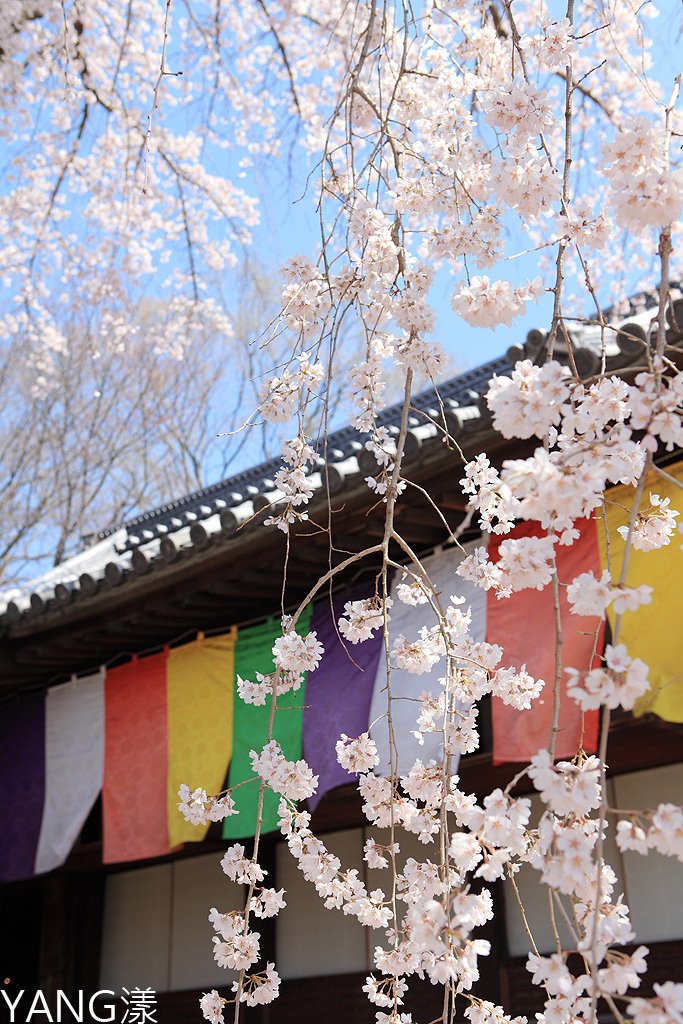 京都醍醐寺