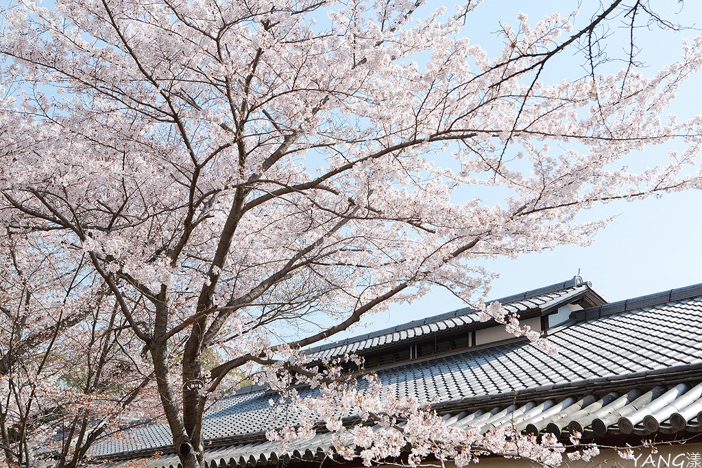 京都醍醐寺