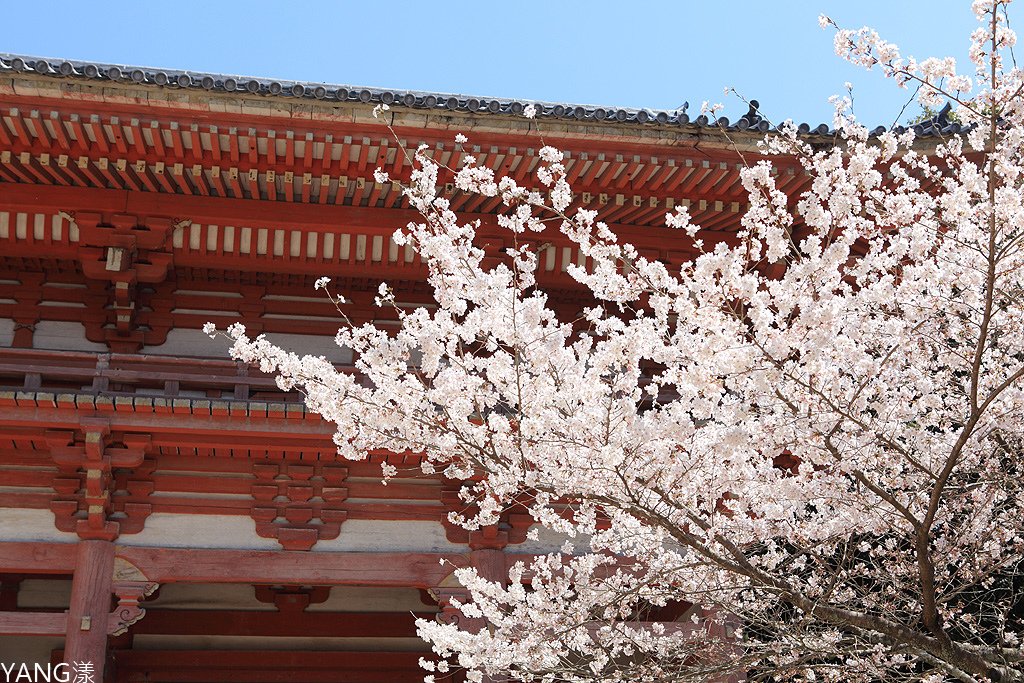 京都醍醐寺