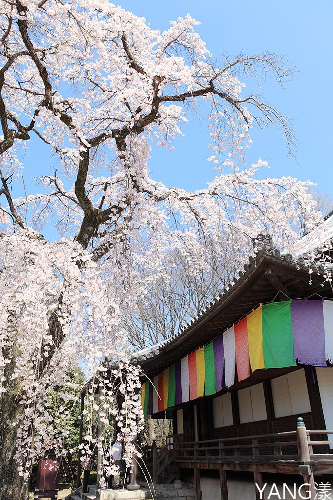 京都醍醐寺