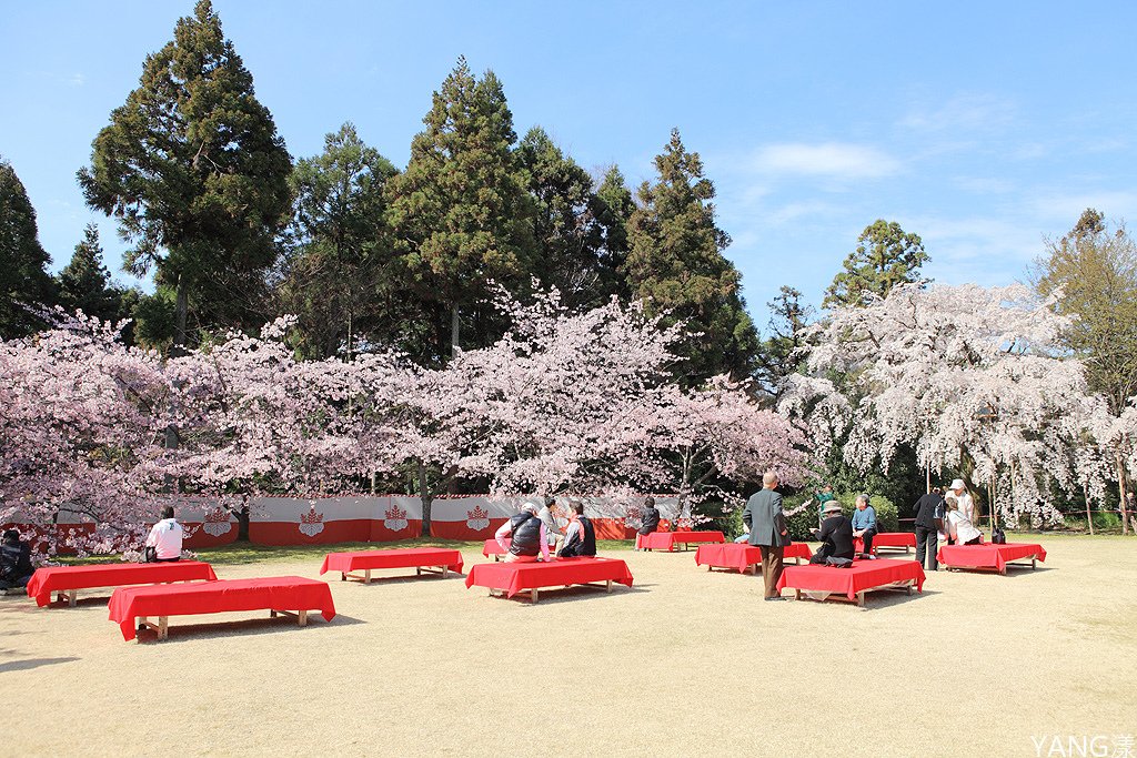 京都醍醐寺