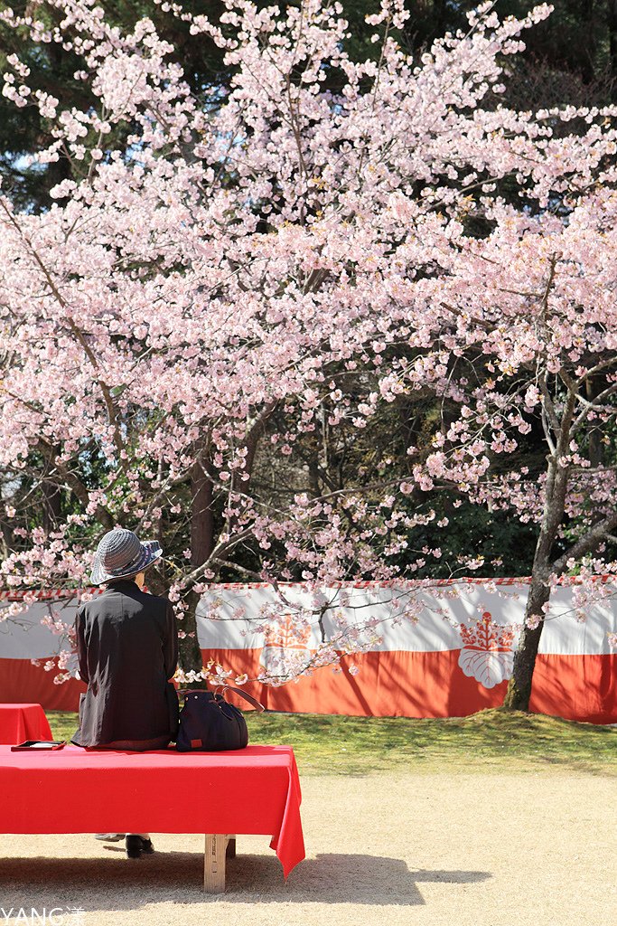 京都醍醐寺