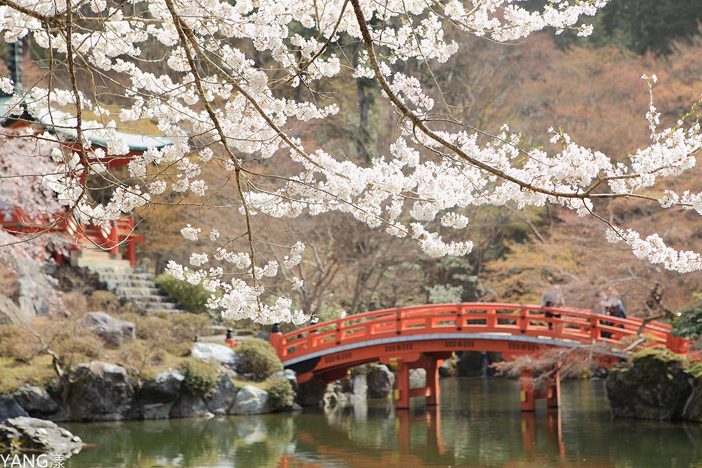 京都醍醐寺