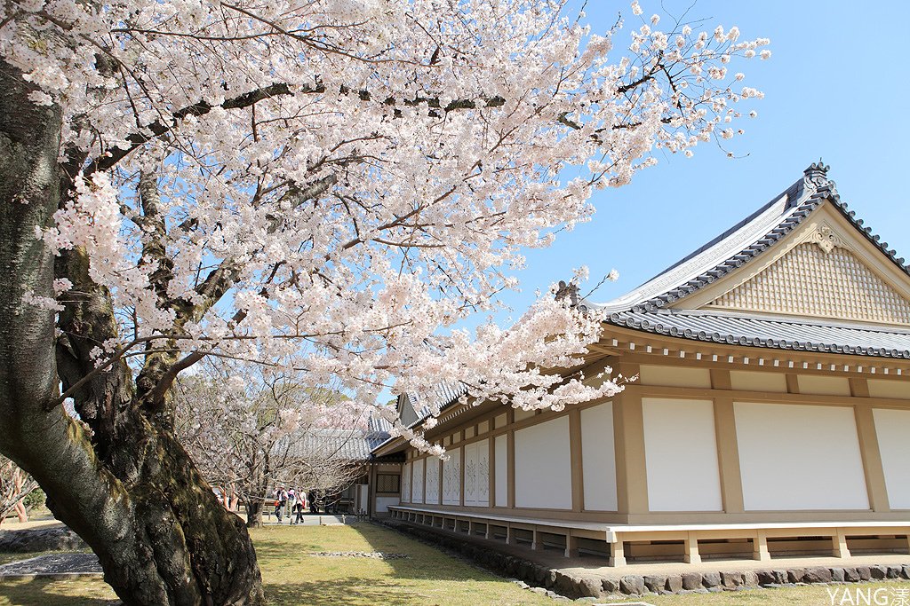 京都醍醐寺