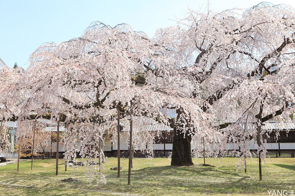 京都醍醐寺