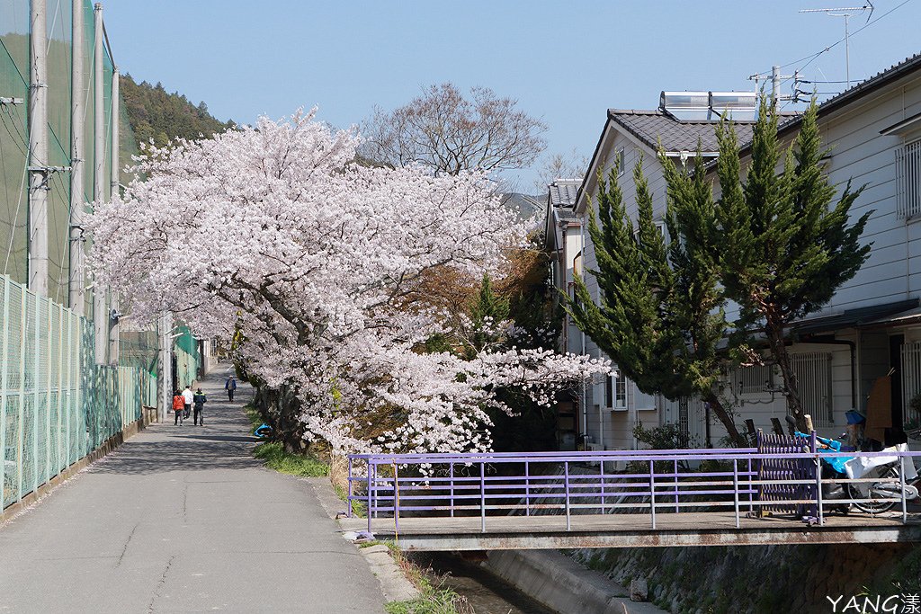 山科疏水