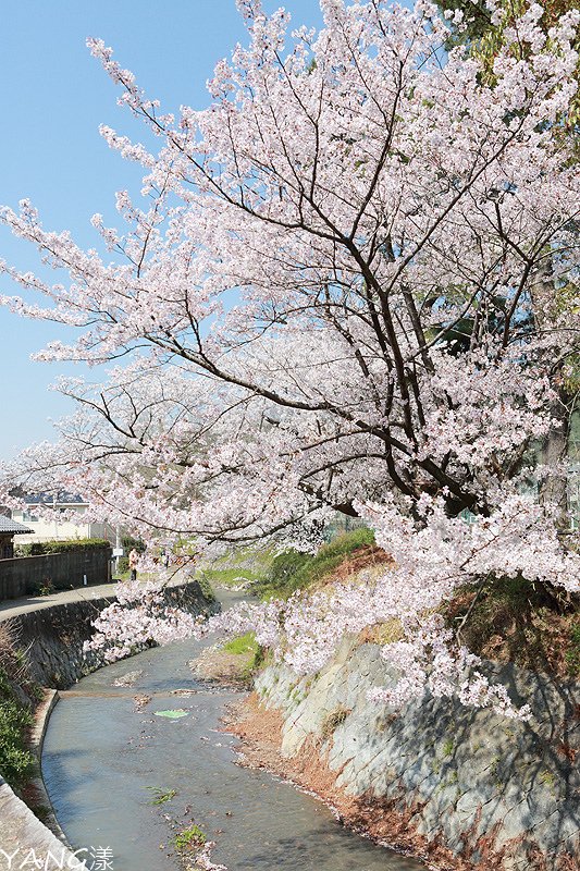 山科疏水