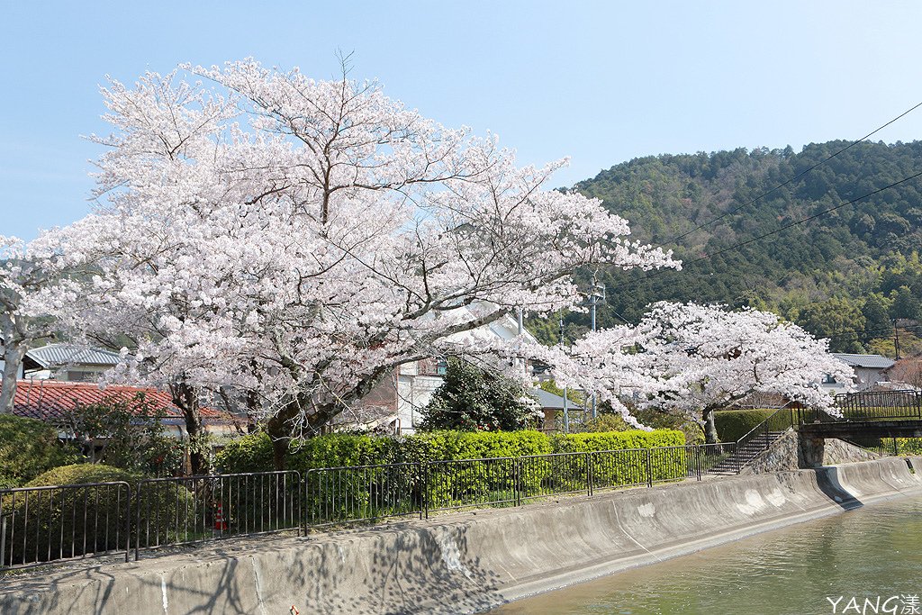 山科疏水