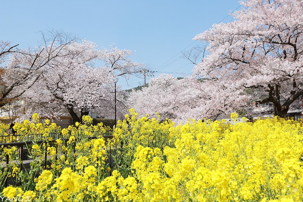 山科疏水