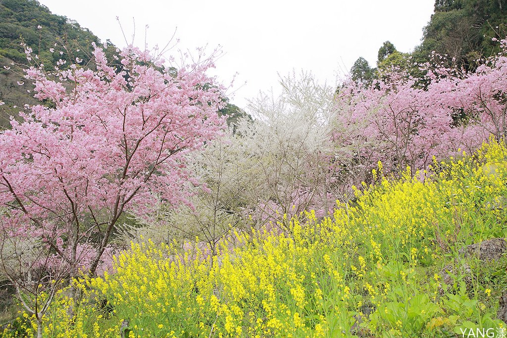 拉拉山秘密花園