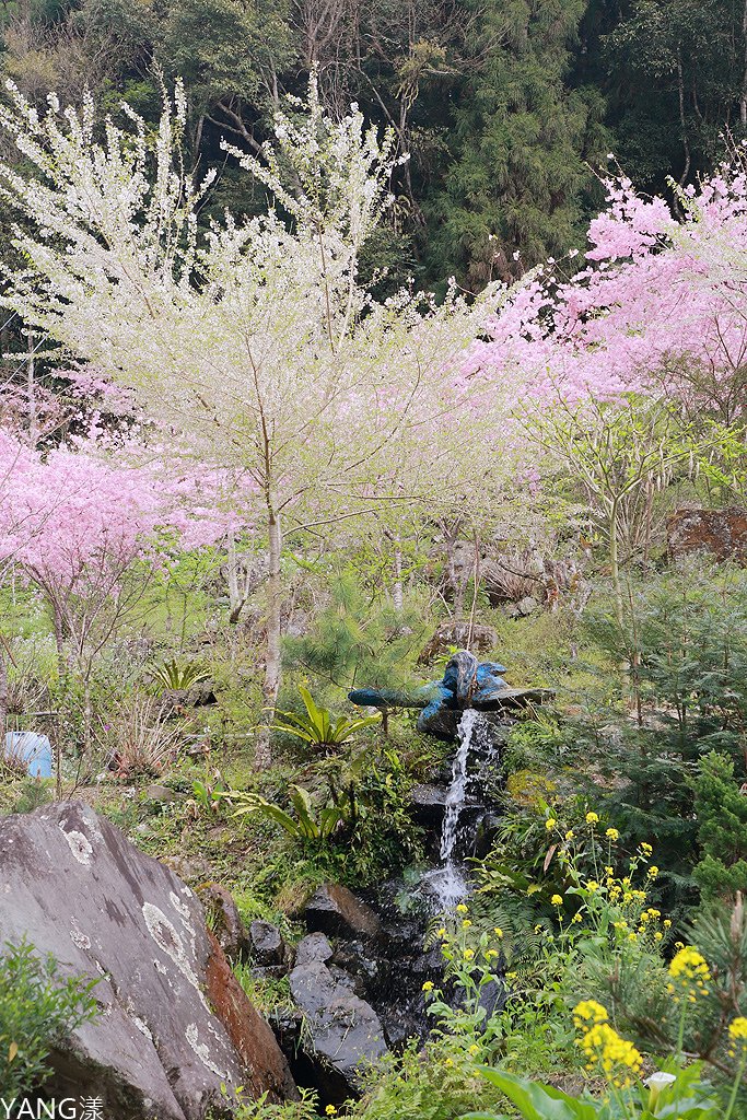 拉拉山秘密花園