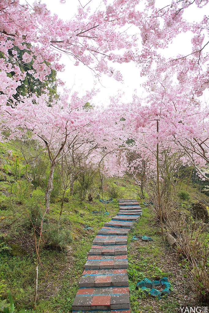 拉拉山秘密花園