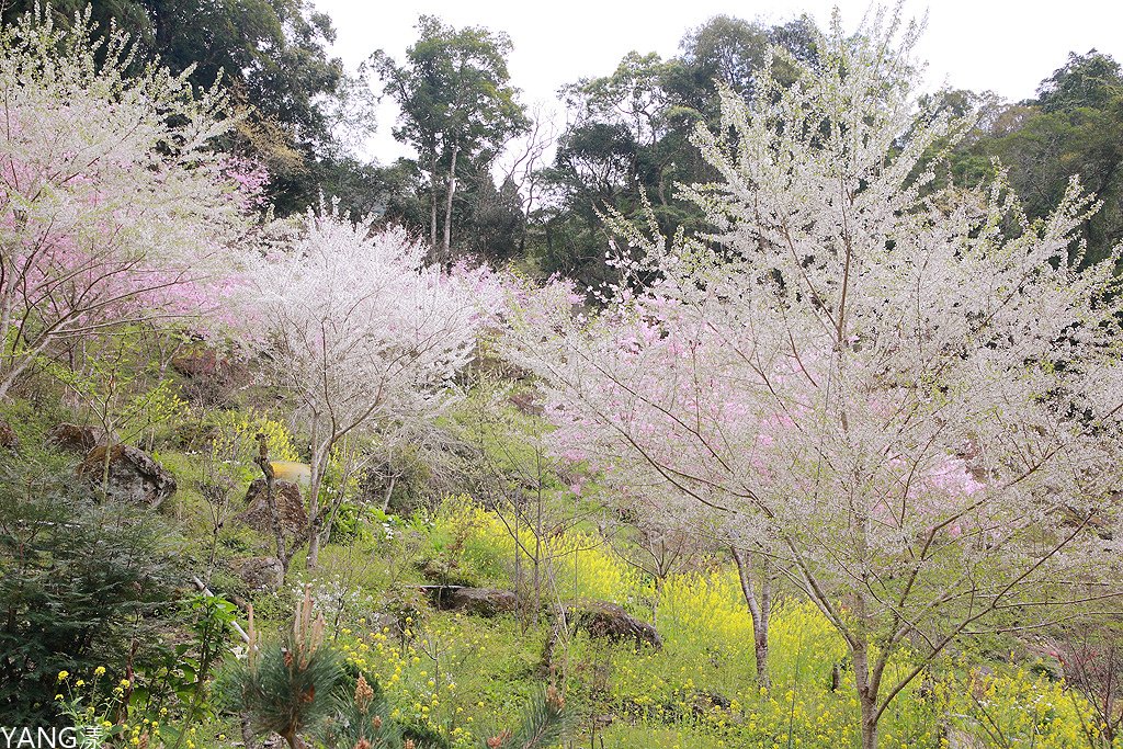 拉拉山秘密花園