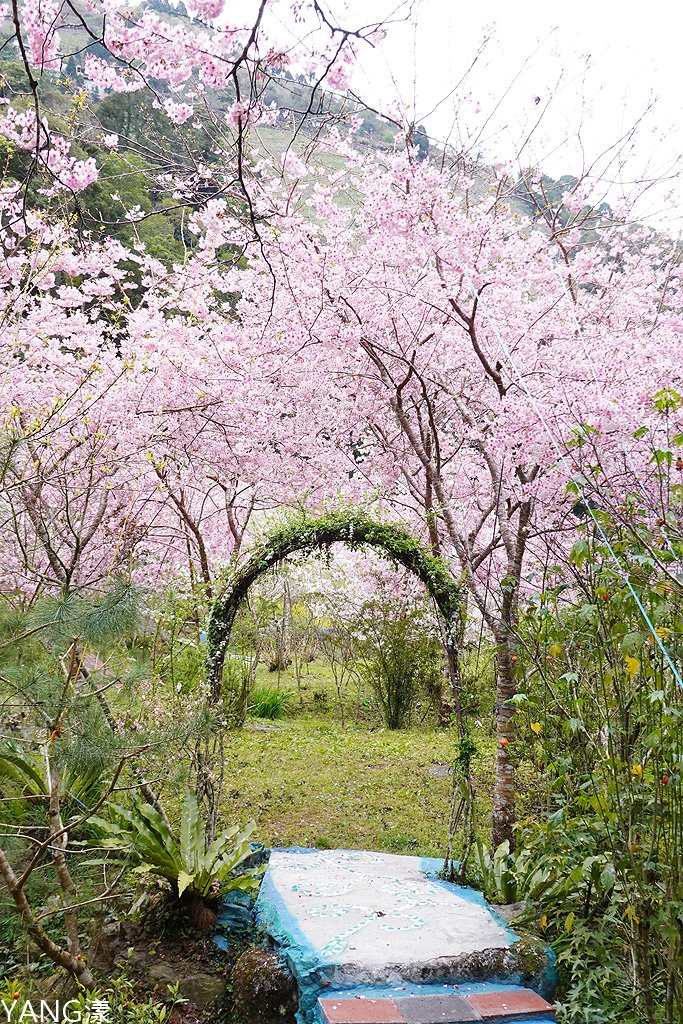 拉拉山秘密花園