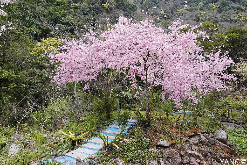 拉拉山秘密花園