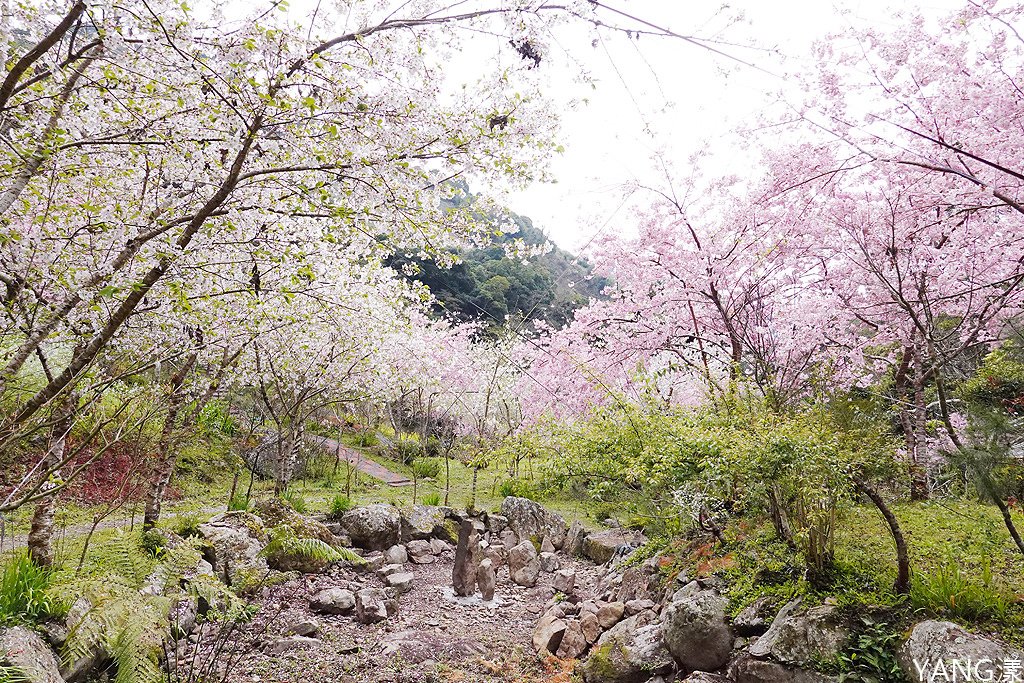 拉拉山秘密花園