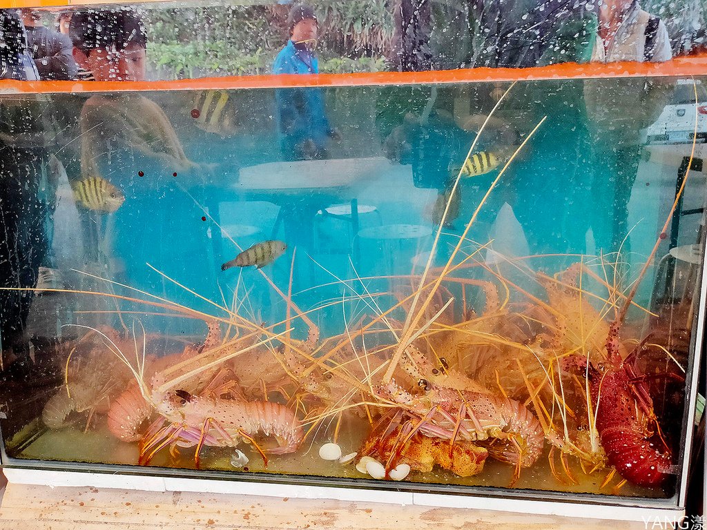 吃飯看海