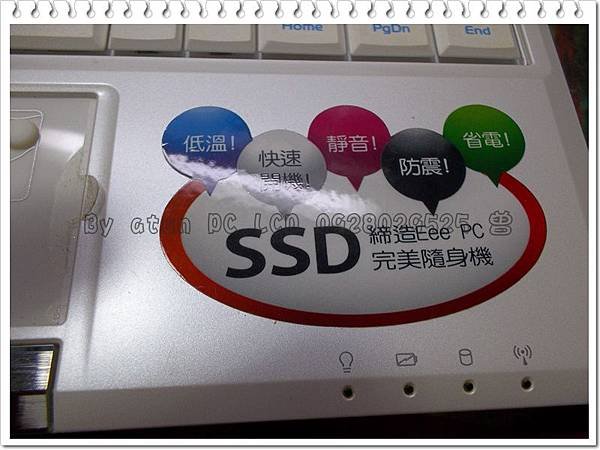 照片 260