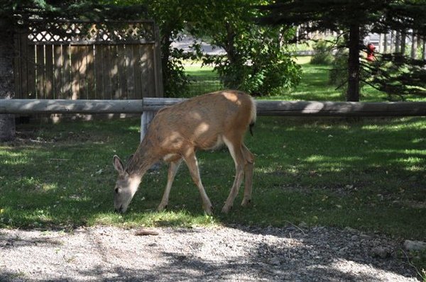 DSC_3455.JPG