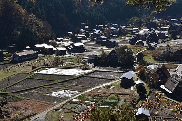 日本日光箱根 879.jpg
