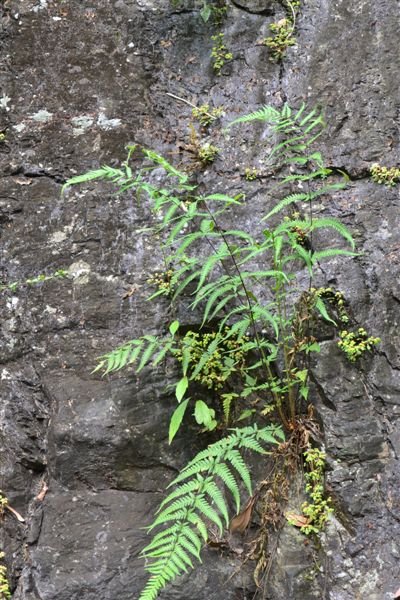 DSC_0057.jpg