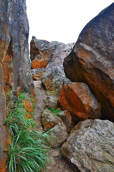 DSC_1822.JPG