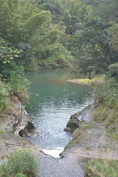 DSC_1182.JPG