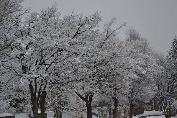 DSC_0572.JPG
