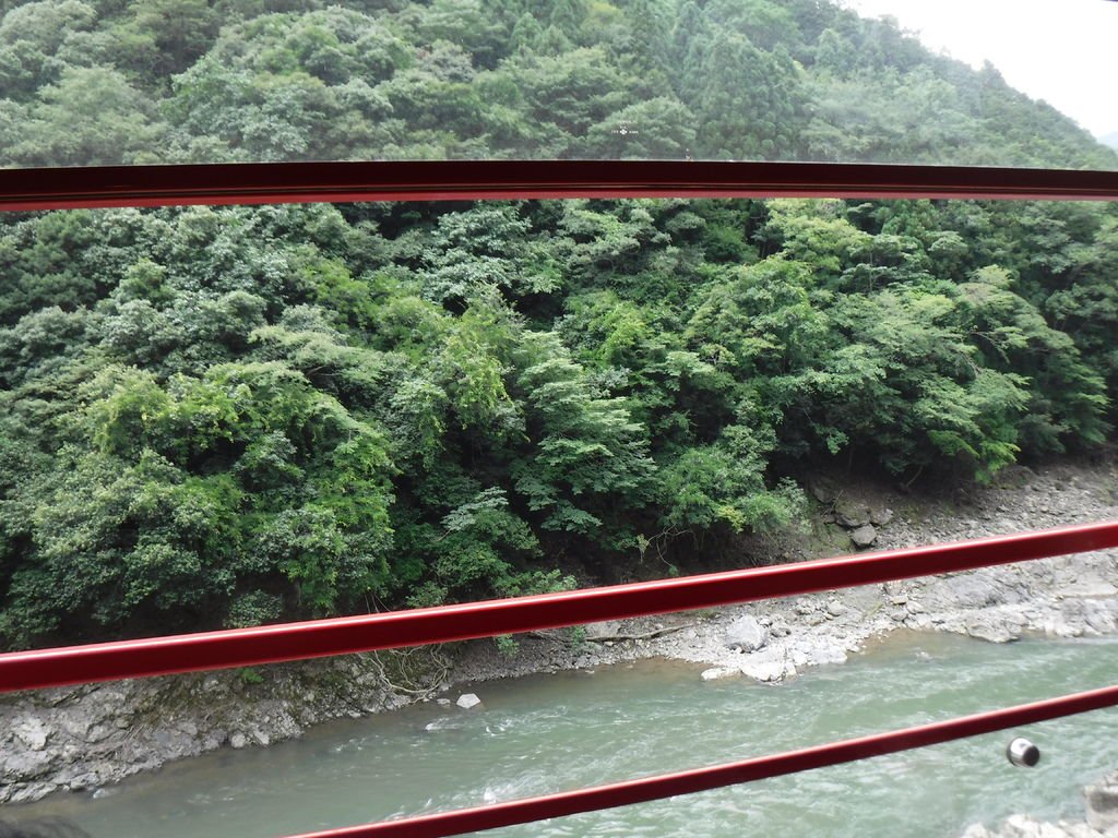 DSCF0566.JPG