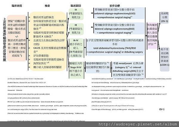 NCCN GUIDELINE 台灣_頁面_02.jpg