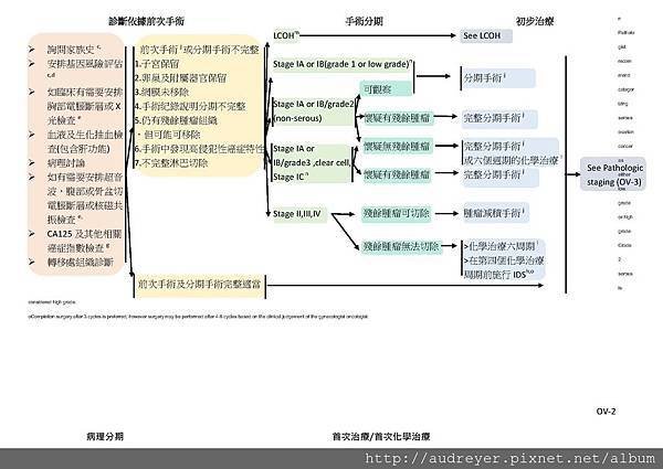 NCCN GUIDELINE 台灣_頁面_03.jpg