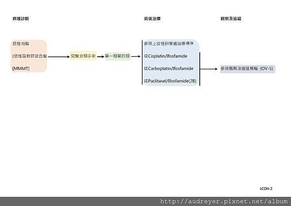 NCCN GUIDELINE 台灣_頁面_09.jpg