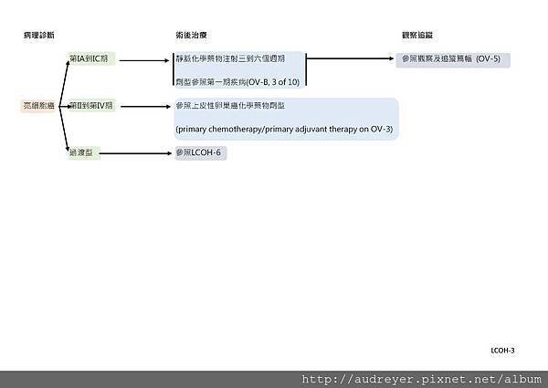 NCCN GUIDELINE 台灣_頁面_10.jpg