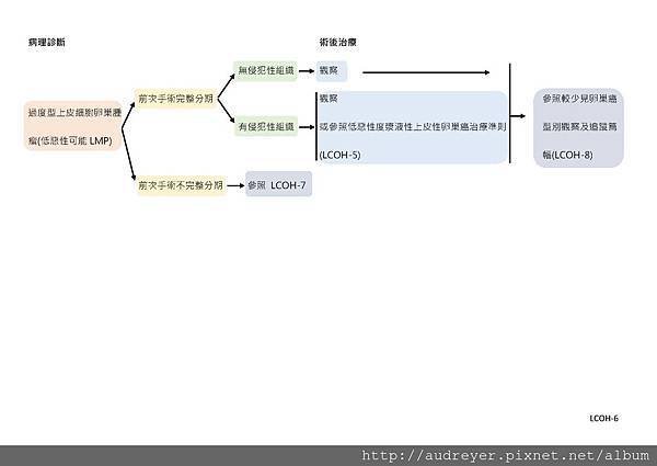 NCCN GUIDELINE 台灣_頁面_13.jpg