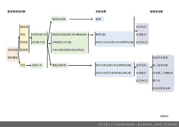 NCCN GUIDELINE 台灣_頁面_16.jpg