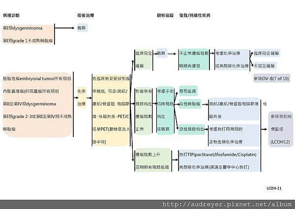 NCCN GUIDELINE 台灣_頁面_18.jpg