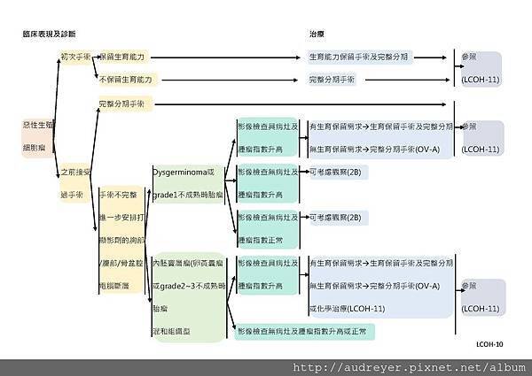 NCCN GUIDELINE 台灣_頁面_17.jpg