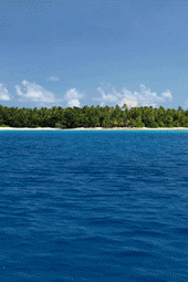 沉沒之島banner (1).gif