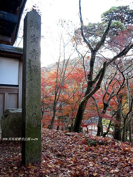 2014京阪神紅葉季 638
