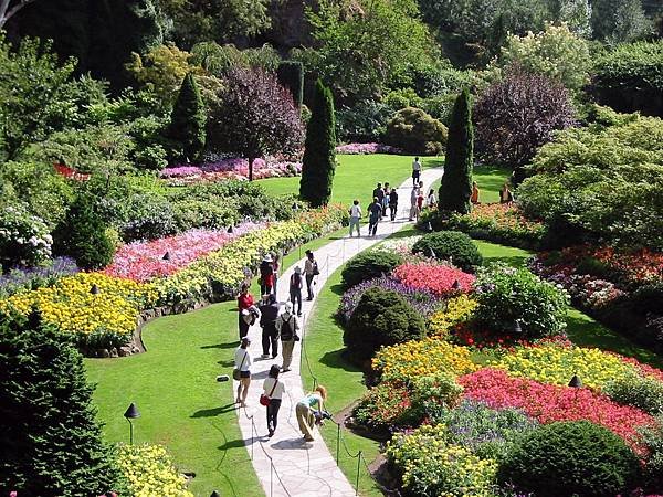 布查花園6