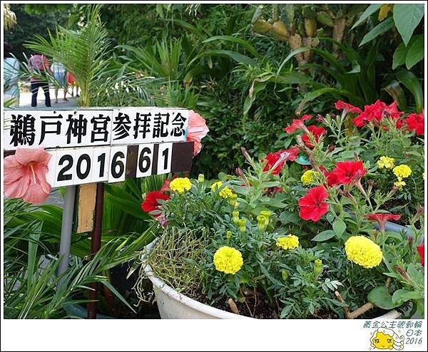 2016黃金公主號郵輪 1270