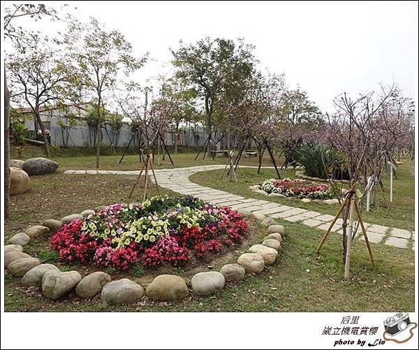 3月葳立機電賞櫻 (85)