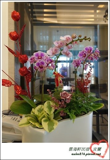 2017新年旅遊 (88)