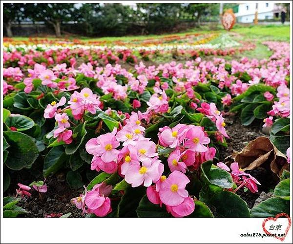 2017新年旅遊 (762)